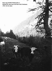 1952 col des Ayes